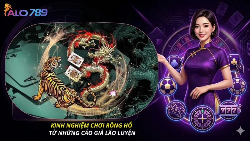 Kinh nghiệm chơi rồng hổ từ những cáo già lão luyện